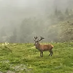 Lägenhet Reh4 Westendorf