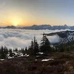 Reh4 * Westendorf