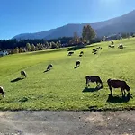 Lägenhet Reh4 Westendorf