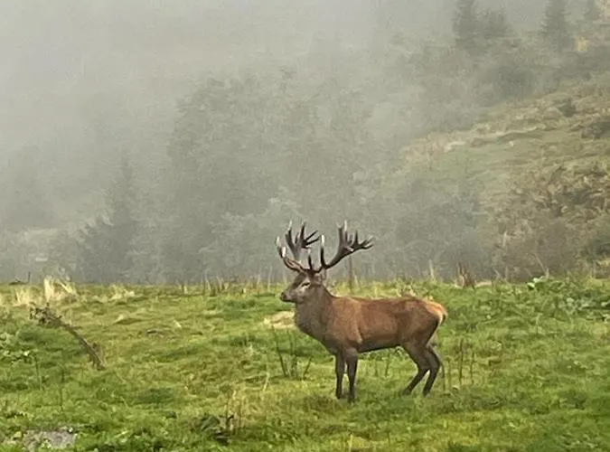 דירה Reh4 ווסטנדורף