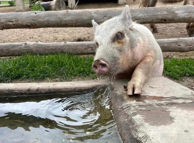 Reh4 דירה ווסטנדורף